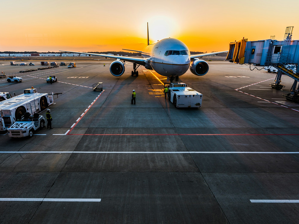 Pandora Sky customs and cargo officer checking shipment documents